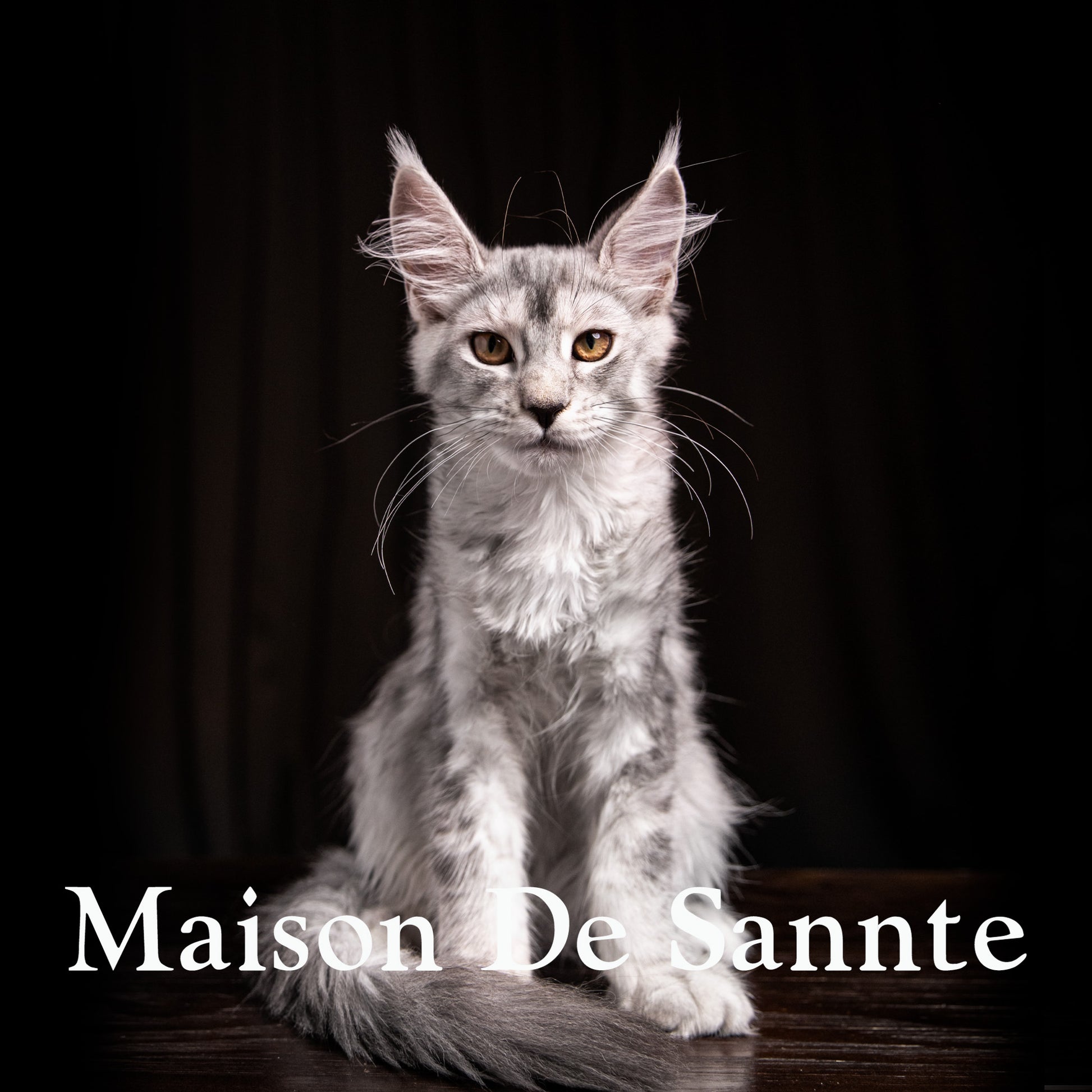 High-End Pet Breeding with Superior Bloodlines