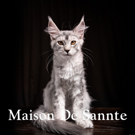 High-End Pet Breeding with Superior Bloodlines