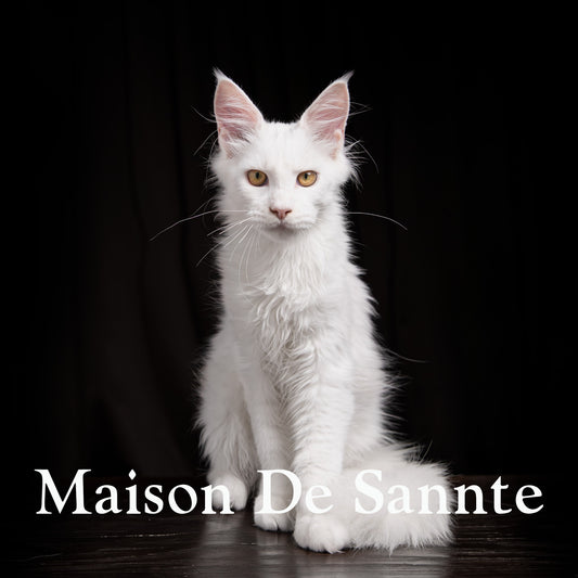 High-End Pet Breeding with Superior Bloodlines