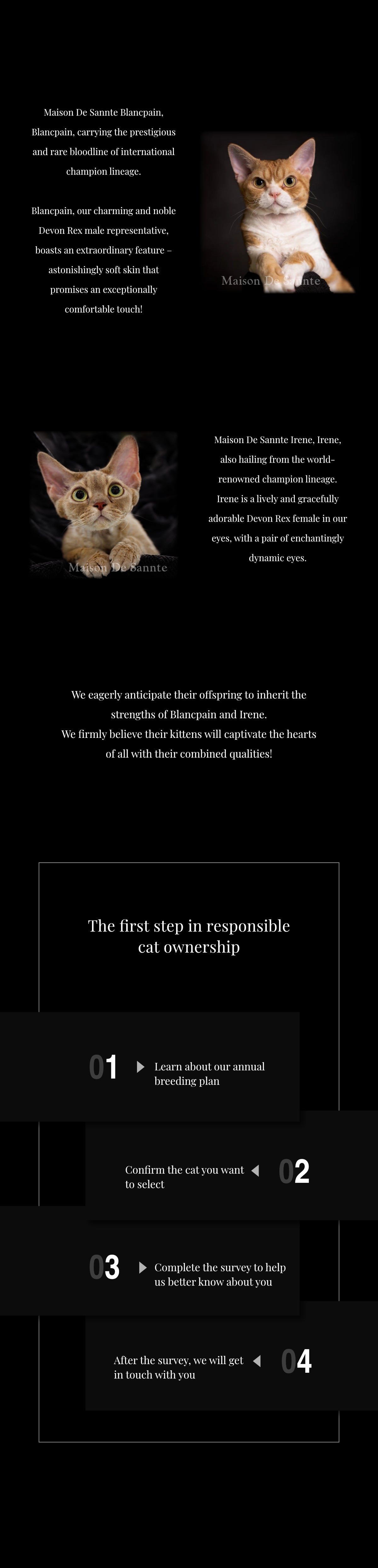 High-End Pet Breeding with Superior Bloodlines