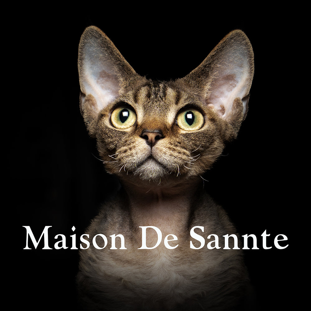 High-End Pet Breeding with Superior Bloodlines