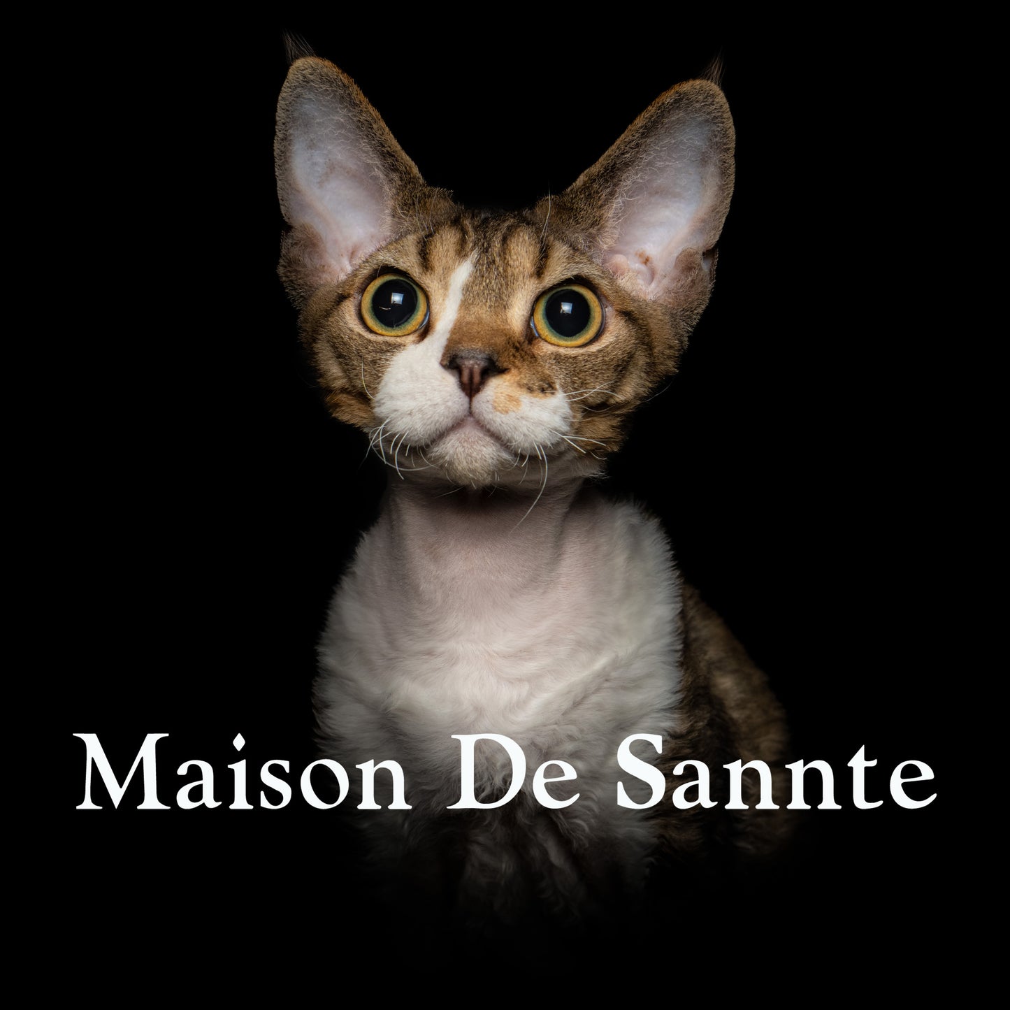 High-End Pet Breeding with Superior Bloodlines