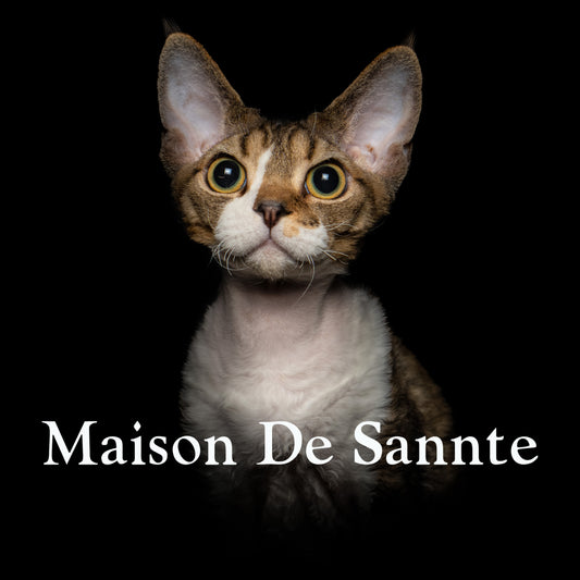 High-End Pet Breeding with Superior Bloodlines