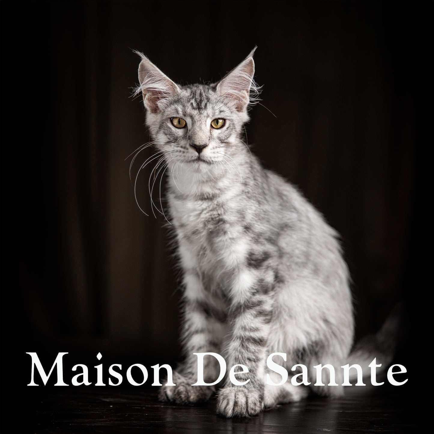 High-End Pet Breeding with Superior Bloodlines