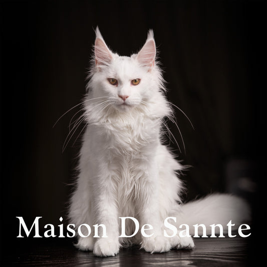 High-End Pet Breeding with Superior Bloodlines