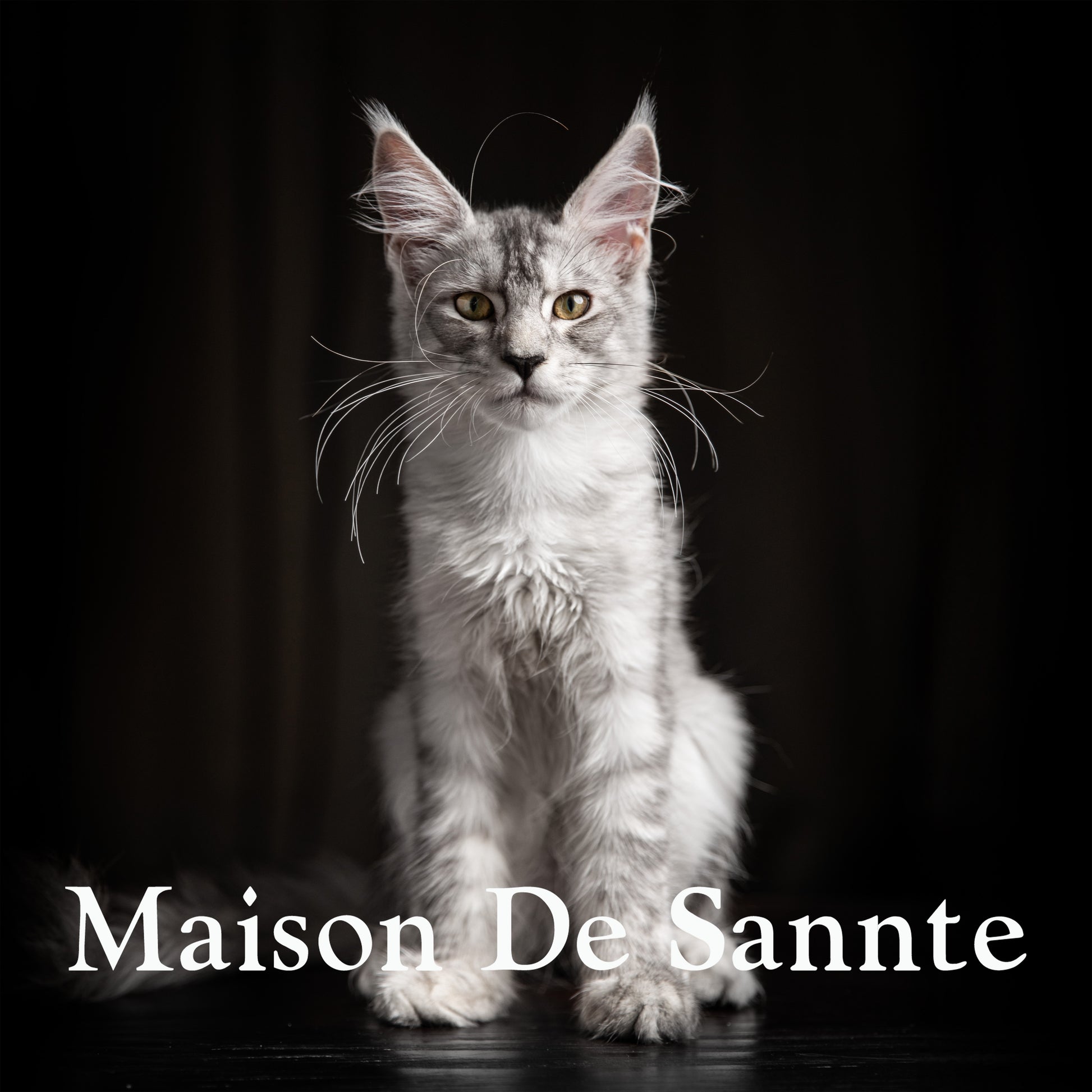 High-End Pet Breeding with Superior Bloodlines