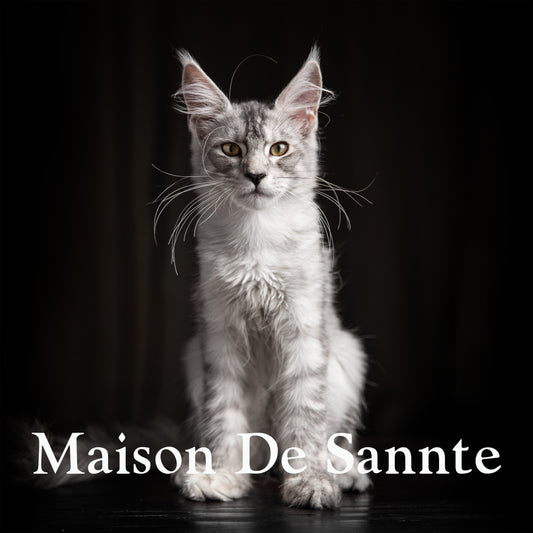 High-End Pet Breeding with Superior Bloodlines