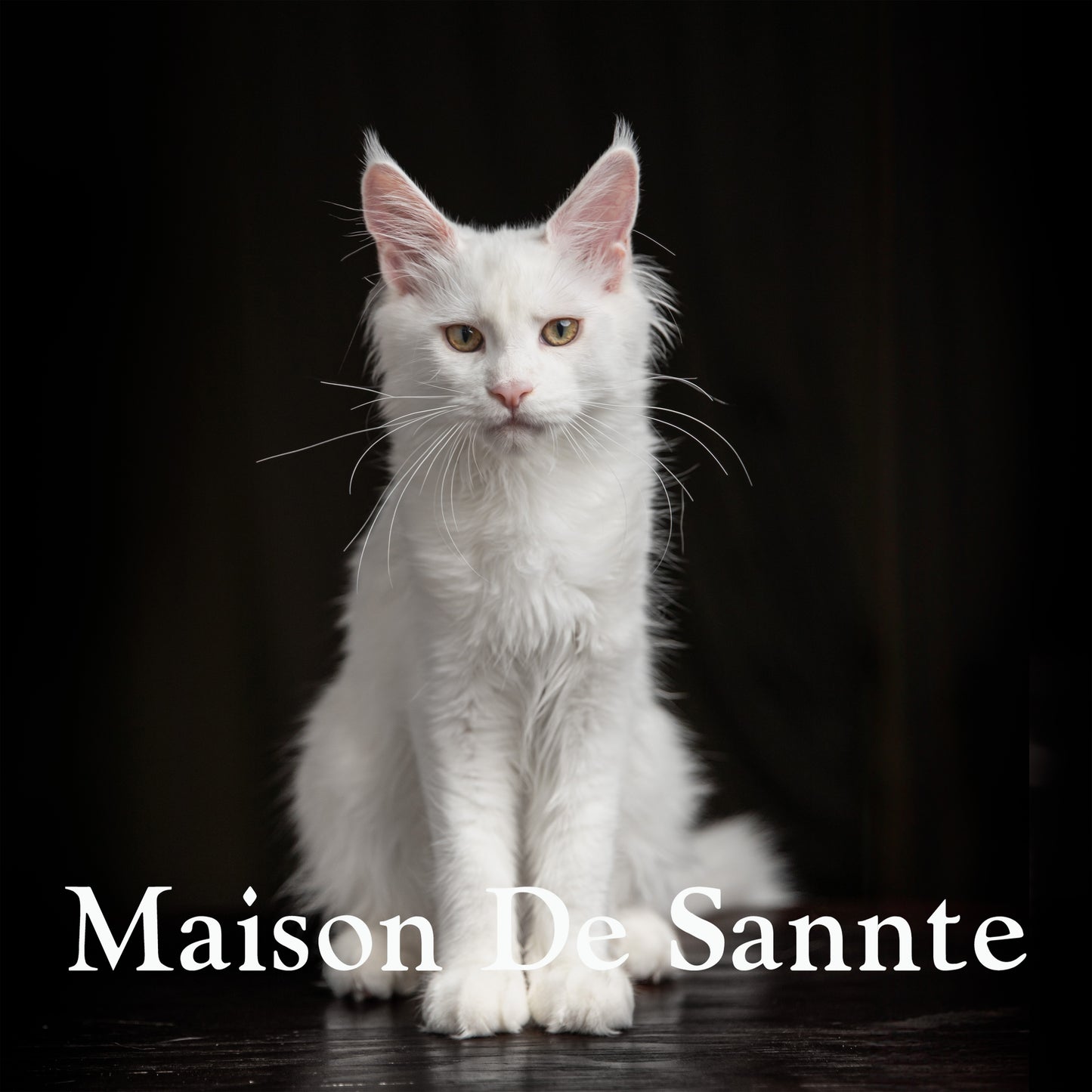 High-End Pet Breeding with Superior Bloodlines